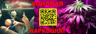 крисы Аргун