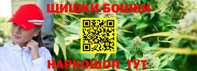крисы Аргун