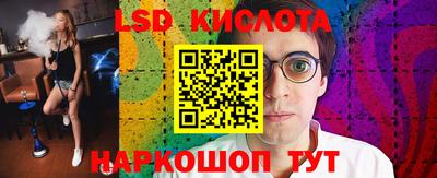 крисы Аргун