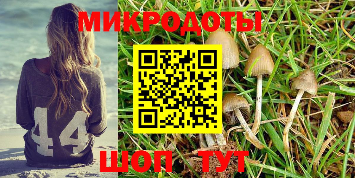 Псилоцибиновые грибы Magic Shrooms Белово